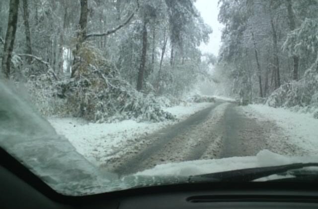 Czy Twoje auto jest gotowe na zimę? Poradnik dla kierowców Michała Kościuszki i Ergo Hestii