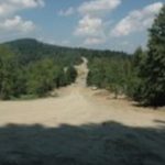 Leśne „autostrady” niszczą Puszczę Karpacką