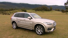 Volvo testuje w Australii system zapobiegający kolizjom z kangurami BIZNES, Motoryzacja - Inżynierowie Volvo od dawna opracowują system, który pozwoliłby uniknąć kolizji z dzikimi zwierzętami. W Australii właśnie ruszyły testy technologii, które mają zapobiegać zderzeniu z kangurami.