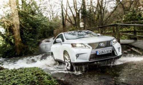 Lexus RX – urodzony lider