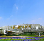 Największa na świecie instalacja kwiatowa w formie pełnowymiarowego samolotu A380 Emirates
