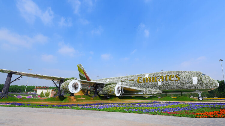 Największa na świecie instalacja kwiatowa w formie pełnowymiarowego samolotu A380 Emirates media/marketing/reklama, transport - Linie Emirates wspólnie z Dubai Miracle Garden tworzą największą na świecie instalację kwiatową w kształcie samolotu A380 Emirates