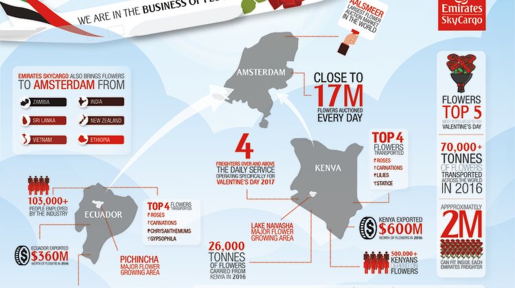 Emirates przetransportowały 70 tysięcy ton świeżych kwiatów w 2016 r. nowe produkty/usługi, kultura/sztuka/rozrywka - Emirates SkyCargo maluje róże na Walentynki