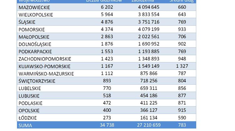 Rekordowa pasażerka na gapę wyjeździła 58 tys. zł kary