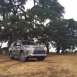 Lexus sadzi drzewa