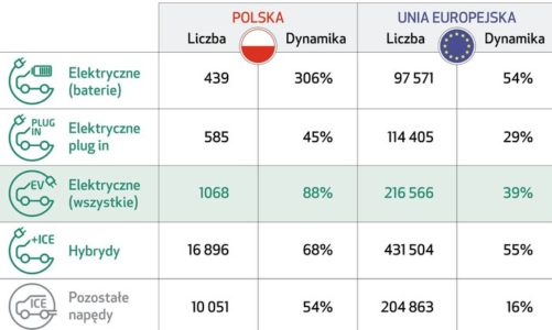 W 2017 roku EFL finansował co siódme auto elektryczne w Polsce