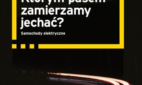 Elektromobilność zmieni wiele sektorów gospodarki w Polsce i na świecie