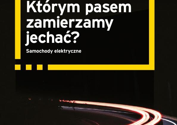 Elektromobilność zmieni wiele sektorów gospodarki w Polsce i na świecie