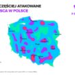 Sześć milionów cyberataków na Polskę w ciągu roku