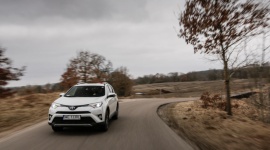 Toyota najczęściej wyszukiwaną marką w internecie BIZNES, Motoryzacja - Toyota to jeden z największych i najpopularniejszych producentów samochodów na świecie.