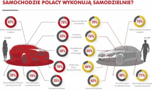 Jakie czynności przy samochodzie Polacy wykonują samodzielnie?