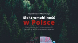 Salony i serwisy bez „energii” do sprzedaży samochodów elektrycznych