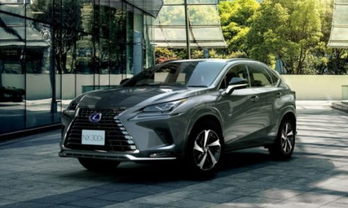 Lexus NX w nowych wersjach