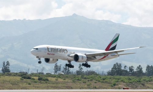 Emirates SkyCargo utrzymują łańcuchy dostaw żywności i łatwo psujących się produktów podczas COVID-19