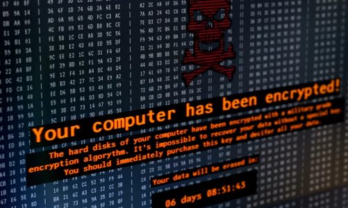 Ataki na polskie firmy rzadsze, ale dotkliwe – ransomware kosztuje je średnio 1,5 mln złotych